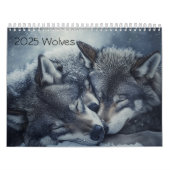 Wolfskalender 2025 kalender (Titelbild)