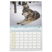 Wolfskalender, Calendar Wolf Kalender (Feb 2027)