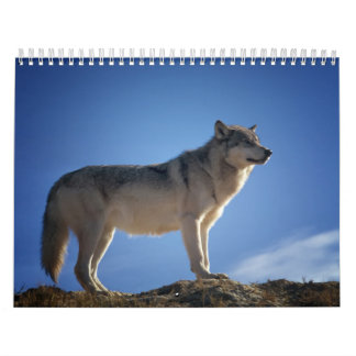 Wolfskalender, Calendar Wolf Kalender