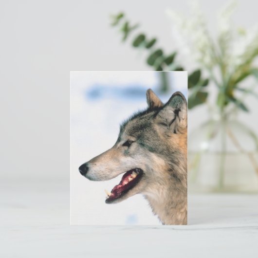 Wolfskopf Postkarte (Stehend Vorderseite)