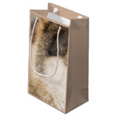 Wolfsmellbraun Kleine Geschenktüte (Rückseite Schrägansicht)