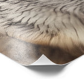 Wolfsprotrait Fotodruck (Ecke)
