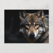 Wolfsprotrait Postkarte (Vorderseite)