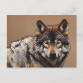 Wolfsprotrait Postkarte (Vorderseite)