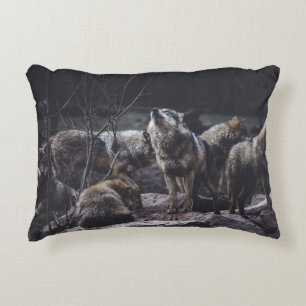 WOLFSRUDEL AUF FELSFORMATION DEKOKISSEN