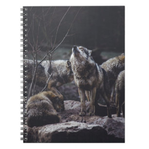 WOLFSRUDEL AUF FELSFORMATION NOTIZBLOCK