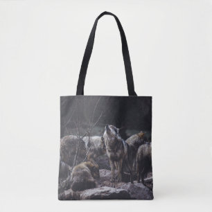 WOLFSRUDEL AUF FELSFORMATION TASCHE