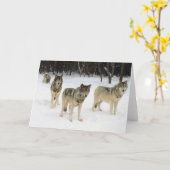 Wolfsrudel Karte (Gelbe Blume)