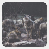 Wolfsrudel Quadratischer Aufkleber (Vorderseite)