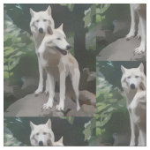 Wolfsstoffe Stoff (Nahaufnahme)