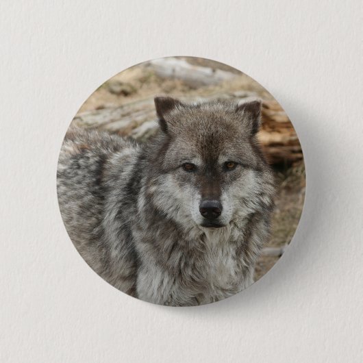 Wolftiergesicht mustert Hunde- WaldZoopark Button (Vorderseite)