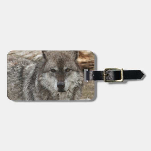 Wolftiergesicht mustert Hunde- WaldZoopark Gepäckanhänger (Vorderseite horizontal)
