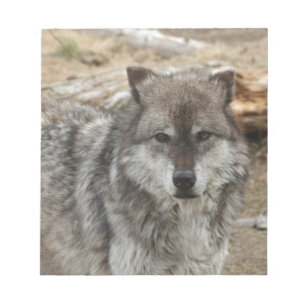 Wolftiergesicht mustert Hunde- WaldZoopark Notizblock