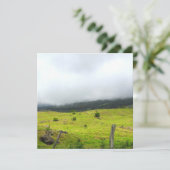 Wolken, die auf Weiden- und Flachkarte absinken (Stehend Vorderseite)