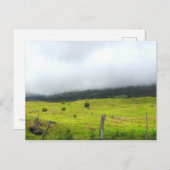 Wolken, die auf Weiden und Postkarte absinken (Vorne/Hinten)