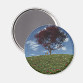 Wolken fahren mit dem Magnet (Vorderseite/Rückseite)