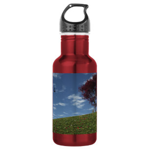 Wolken fahren vorbei edelstahlflasche