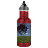 Wolken fahren vorbei edelstahlflasche (Rechts)