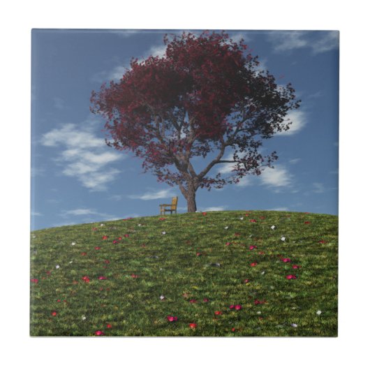 Wolken gehen mit dekorativen Fliesen segeln (Vorderseite)