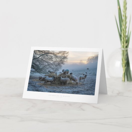 Wolken im Winter Karte (Vorderseite)