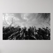 Wolken, Poster (Vorne)