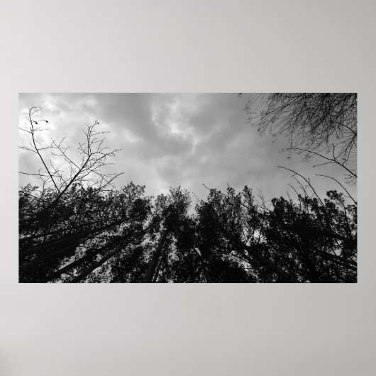 Wolken, Poster (Vorne)