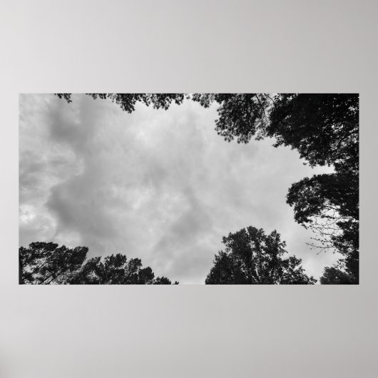 Wolken, Poster (Vorne)