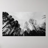 Wolken, Poster (Vorne)