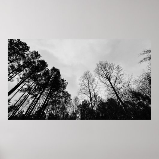 Wolken, Poster (Vorne)