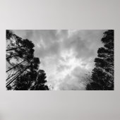 Wolken, Poster (Vorne)