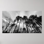 Wolken, Poster (Vorne)