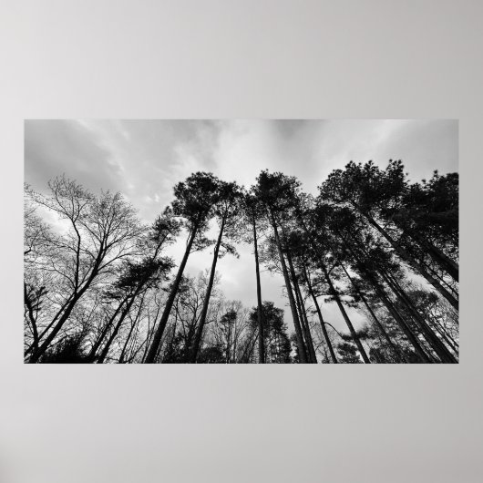 Wolken, Poster (Vorne)