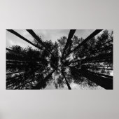 Wolken, Poster (Vorne)