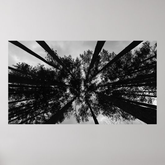 Wolken, Poster (Vorne)