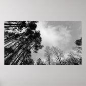 Wolken, Poster (Vorne)