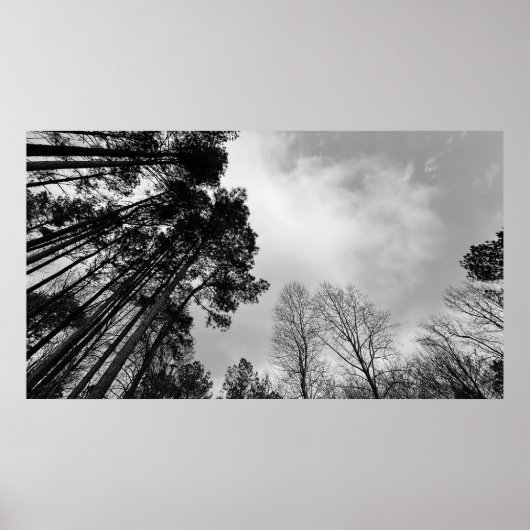 Wolken, Poster (Vorne)