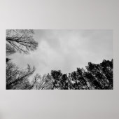 Wolken, Poster (Vorne)