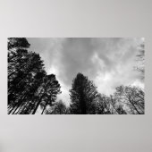 Wolken, Poster (Vorne)