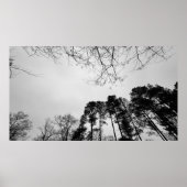 Wolken, Poster (Vorne)