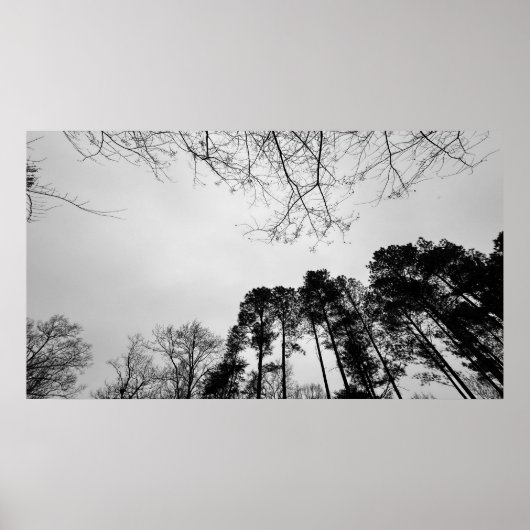 Wolken, Poster (Vorne)