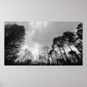 Wolken, Poster (Vorne)