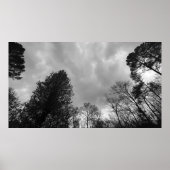 Wolken, Poster (Vorne)
