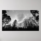 Wolken, Poster (Vorne)