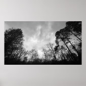 Wolken, Poster (Vorne)