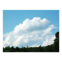 Wolken treffen Bäume