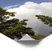 Wolken über Baumspitzen Poster (Ecke)