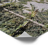 Wolken über Mount Rainier - Landschaftspanorama Poster (Ecke)