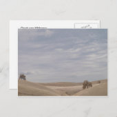 Wolken um die Wildnis Postkarte (Vorne/Hinten)