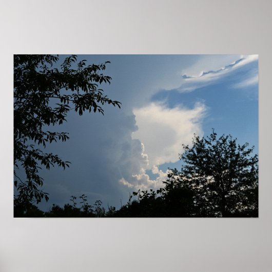 Wolken und Bäume Poster (Vorne)