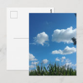 Wolken und blauer Himmel Postkarte (Vorne/Hinten)
